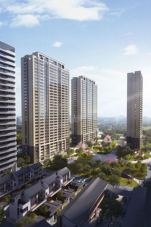 多維度解析辰雨如畫(huà) 冠魯房地產(chǎn)開(kāi)發(fā)與濟(jì)寧豐碩置業(yè)的匠心之作