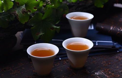 泡普洱茶時如何控制茶葉用量 不同情況下的建議使用量